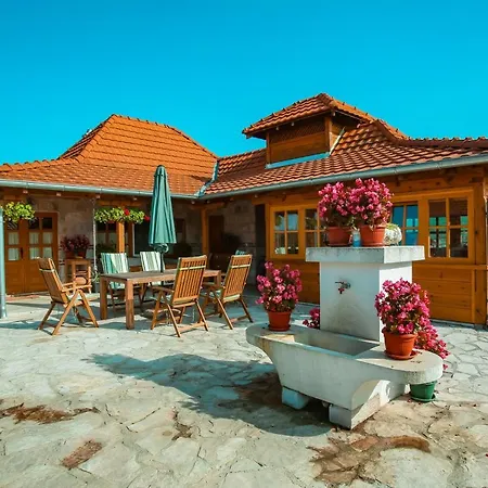 Seosko Turisticko Domacinstvo Radivojevic Villa *