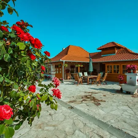 Villa Seosko Turisticko Domacinstvo Radivojevic *