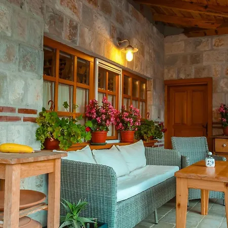 Villa Seosko Turisticko Domacinstvo Radivojevic *