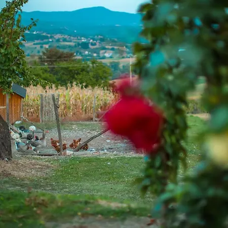 Seosko Turisticko Domacinstvo Radivojevic Cacak