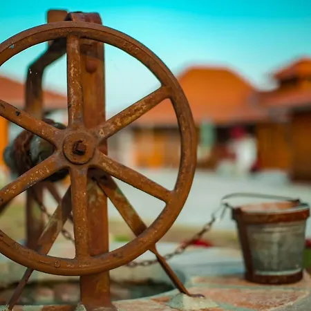 Seosko Turisticko Domacinstvo Radivojevic * Cacak