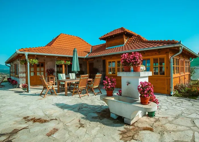 Seosko Turisticko Domacinstvo Radivojevic Villa *