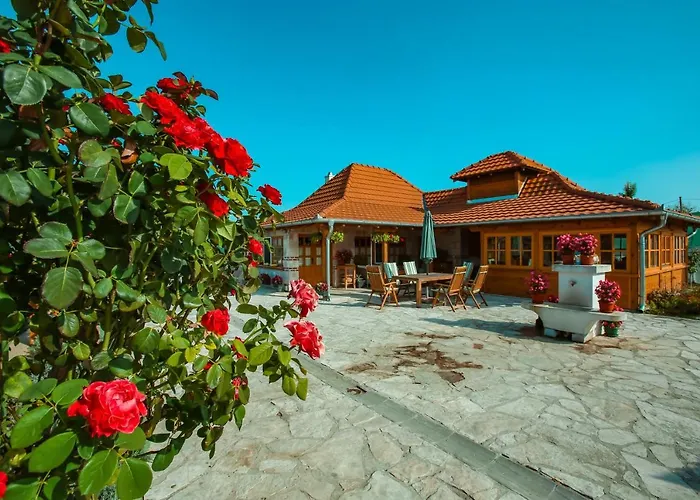 Villa Seosko Turisticko Domacinstvo Radivojevic *