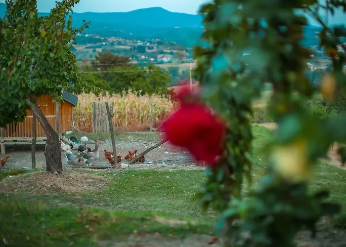 Seosko Turisticko Domacinstvo Radivojevic Čačak