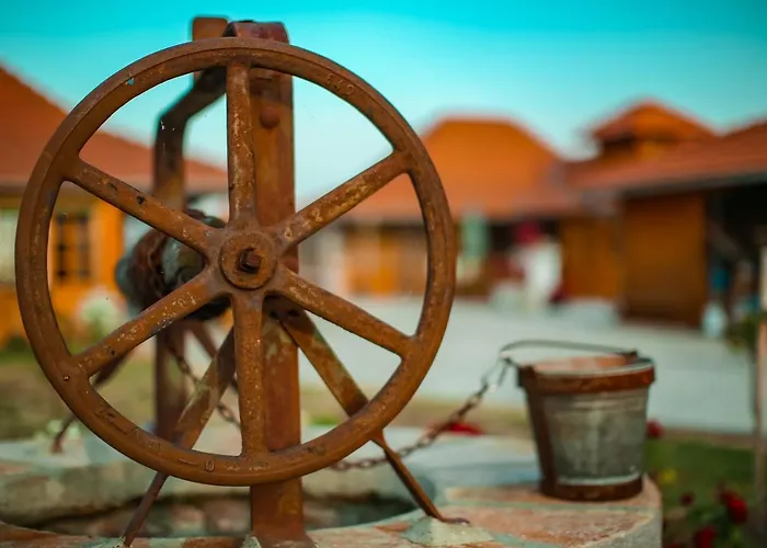 Seosko Turisticko Domacinstvo Radivojevic * Čačak